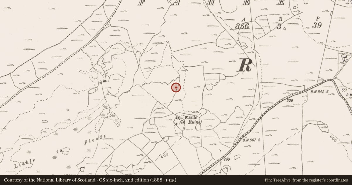 Ordnance Survey six-inch map, 2nd edition (1888–1915) covering the location of Fulacht fia, Fahee North, County Clare, with a pin at the register's coordinates