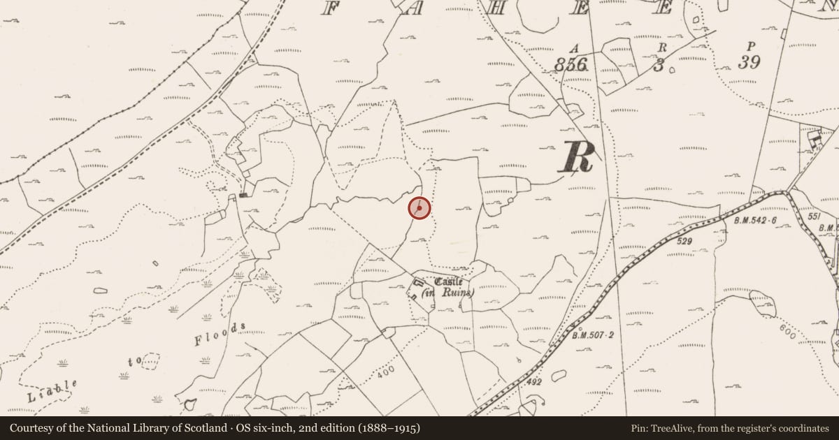 Ordnance Survey six-inch map, 2nd edition (1888–1915) covering the location of Fulacht fia, Fahee North, County Clare, with a pin at the register's coordinates