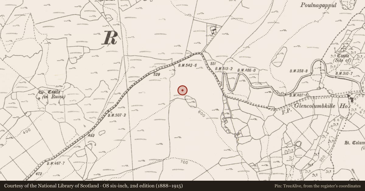 Ordnance Survey six-inch map, 2nd edition (1888–1915) covering the location of Cairn - unclassified, Fahee South, County Clare, with a pin at the register's coordinates
