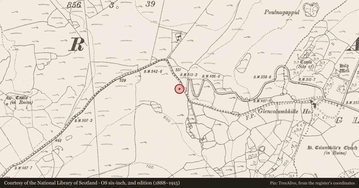 Ordnance Survey six-inch map, 2nd edition (1888–1915) covering the location of Penitential station, Fahee South, County Clare, with a pin at the register's coordinates