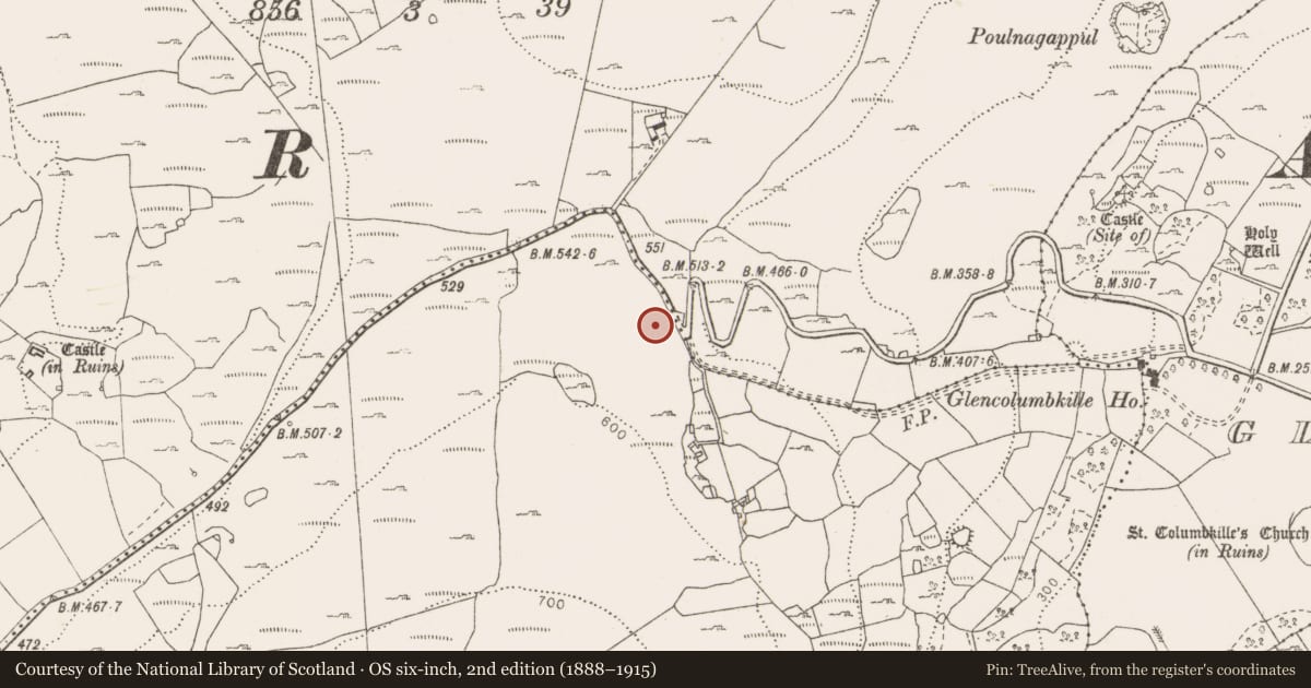 Ordnance Survey six-inch map, 2nd edition (1888–1915) covering the location of Penitential station, Fahee South, County Clare, with a pin at the register's coordinates