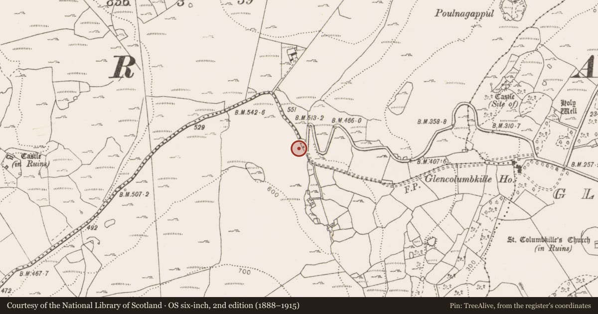 Ordnance Survey six-inch map, 2nd edition (1888–1915) covering the location of Penitential station, Fahee North, County Clare, with a pin at the register's coordinates