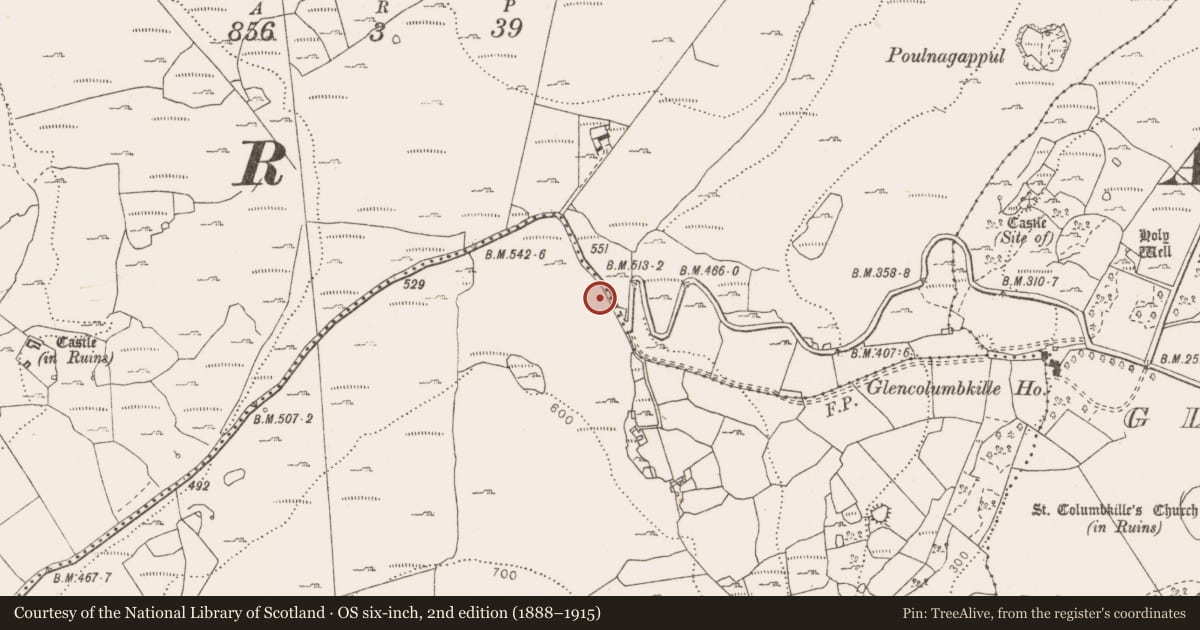 Ordnance Survey six-inch map, 2nd edition (1888–1915) covering the location of Penitential station, Fahee South, County Clare, with a pin at the register's coordinates
