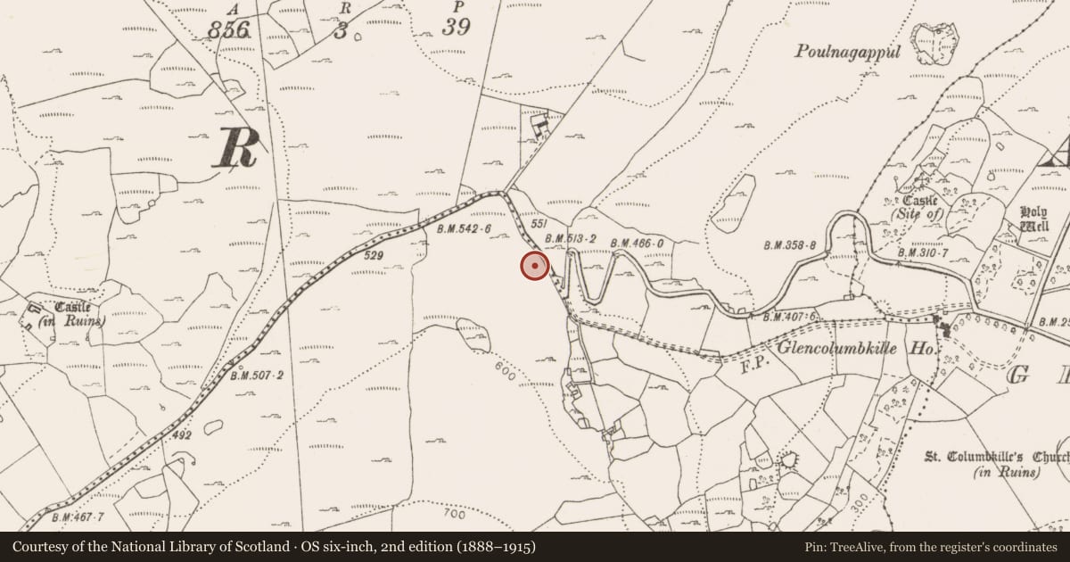Ordnance Survey six-inch map, 2nd edition (1888–1915) covering the location of Penitential station, Fahee South, County Clare, with a pin at the register's coordinates