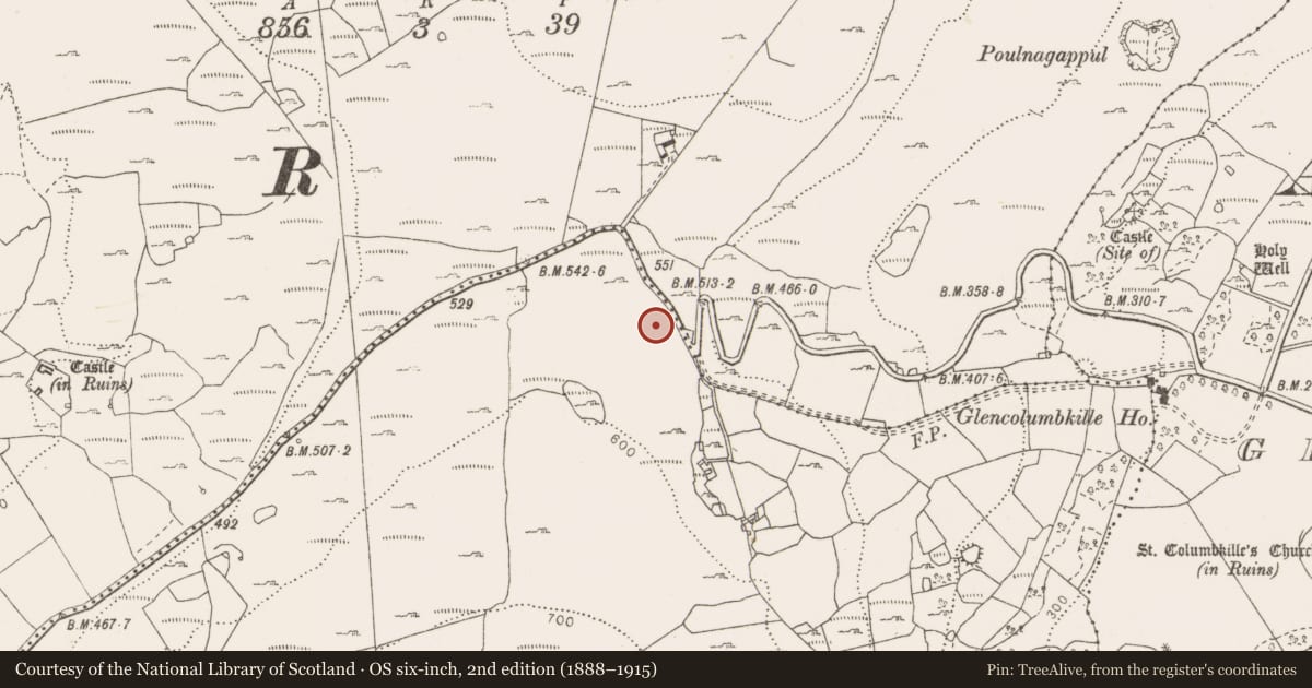 Ordnance Survey six-inch map, 2nd edition (1888–1915) covering the location of Penitential station, Fahee South, County Clare, with a pin at the register's coordinates