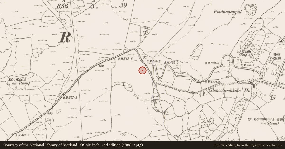 Ordnance Survey six-inch map, 2nd edition (1888–1915) covering the location of Penitential station, Fahee South, County Clare, with a pin at the register's coordinates
