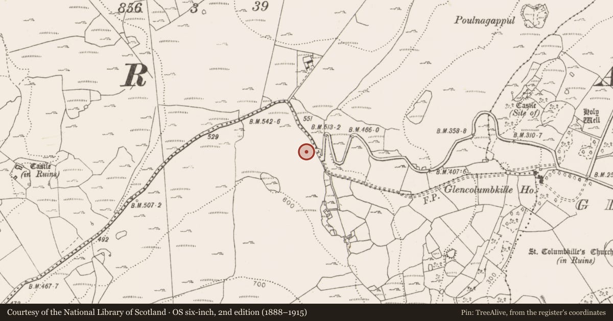 Ordnance Survey six-inch map, 2nd edition (1888–1915) covering the location of Penitential station, Fahee South, County Clare, with a pin at the register's coordinates
