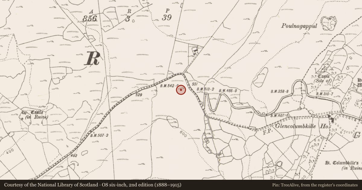 Ordnance Survey six-inch map, 2nd edition (1888–1915) covering the location of Penitential station, Fahee South, County Clare, with a pin at the register's coordinates