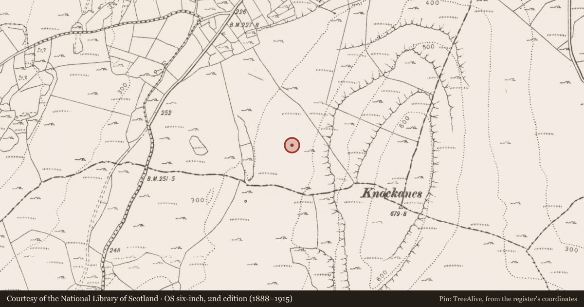 Ordnance Survey six-inch map, 2nd edition (1888–1915) covering the location of Fulacht fia, Knockans Lower, County Clare, with a pin at the register's coordinates
