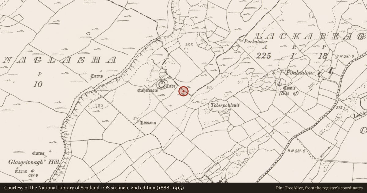 Ordnance Survey six-inch map, 2nd edition (1888–1915) covering the location of Fulacht fia, Knockans Upper, Lackareagh, County Clare, with a pin at the register's coordinates