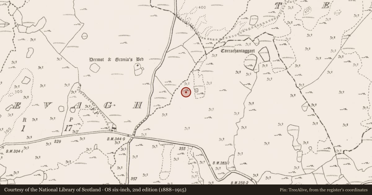 Ordnance Survey six-inch map, 2nd edition (1888–1915) covering the location of Fulacht fia, Clooncoose, County Clare, with a pin at the register's coordinates
