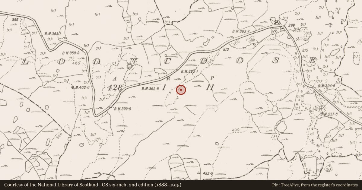 Ordnance Survey six-inch map, 2nd edition (1888–1915) covering the location of Fulacht fia, Clooncoose, County Clare, with a pin at the register's coordinates