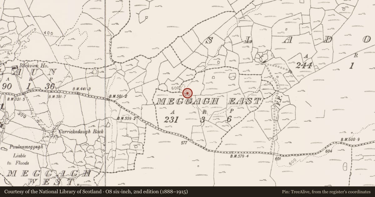 Ordnance Survey six-inch map, 2nd edition (1888–1915) covering the location of Cairn - unclassified, Meggagh East, County Clare, with a pin at the register's coordinates