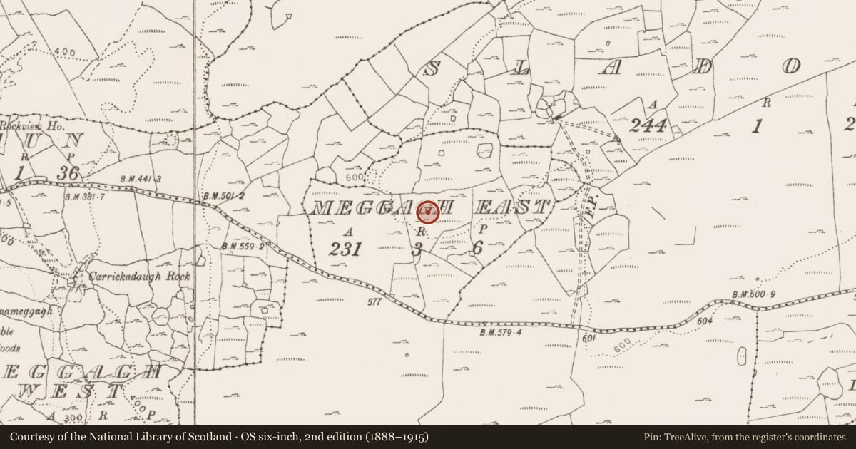 Ordnance Survey six-inch map, 2nd edition (1888–1915) covering the location of Hut site, Meggagh East, County Clare, with a pin at the register's coordinates