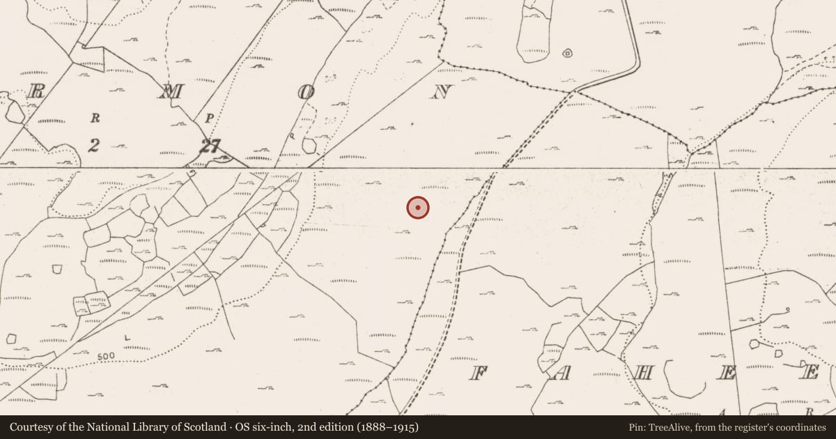 Ordnance Survey six-inch map, 2nd edition (1888–1915) covering the location of Fulacht fia, Termon, County Clare, with a pin at the register's coordinates