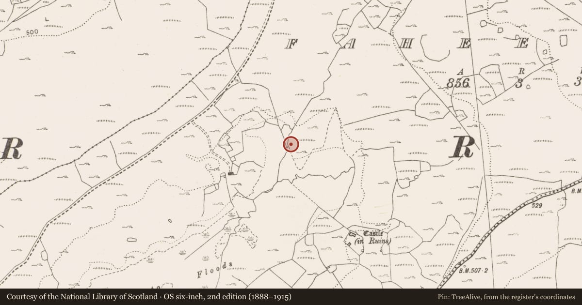 Ordnance Survey six-inch map, 2nd edition (1888–1915) covering the location of Fulacht fia, Fahee North, County Clare, with a pin at the register's coordinates