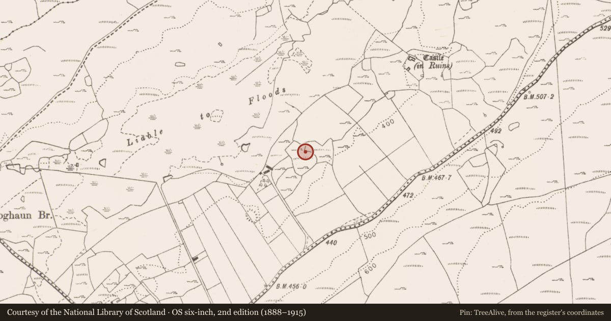 Ordnance Survey six-inch map, 2nd edition (1888–1915) covering the location of Fulacht fia, Fahee North, County Clare, with a pin at the register's coordinates
