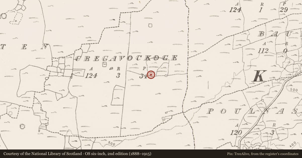Ordnance Survey six-inch map, 2nd edition (1888–1915) covering the location of Cairn - unclassified, Fahee North, County Clare, with a pin at the register's coordinates