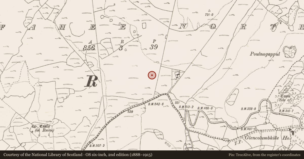 Ordnance Survey six-inch map, 2nd edition (1888–1915) covering the location of Cairn - unclassified, Fahee North, County Clare, with a pin at the register's coordinates