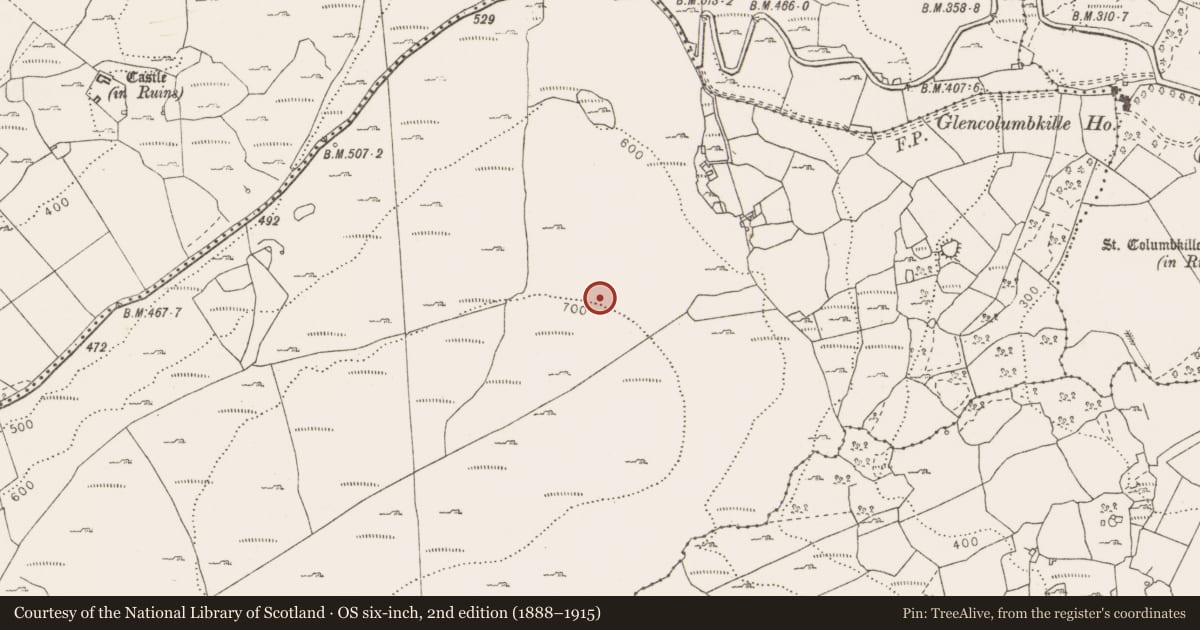 Ordnance Survey six-inch map, 2nd edition (1888–1915) covering the location of Cairn - unclassified, Fahee South, County Clare, with a pin at the register's coordinates