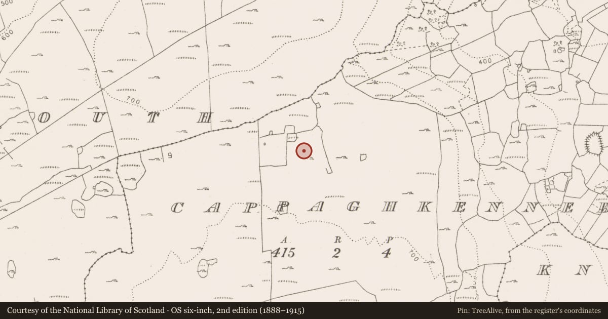 Ordnance Survey six-inch map, 2nd edition (1888–1915) covering the location of Hut site, Cappaghkennedy, County Clare, with a pin at the register's coordinates
