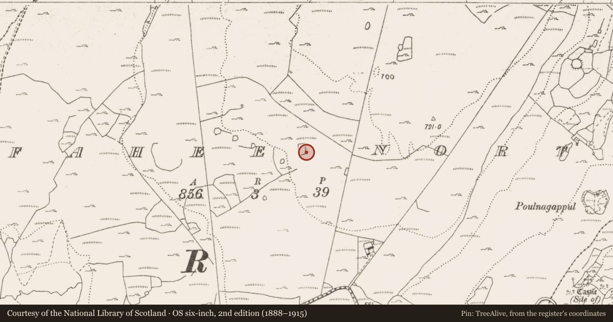 Ordnance Survey six-inch map, 2nd edition (1888–1915) covering the location of Enclosure, Fahee North, County Clare, with a pin at the register's coordinates