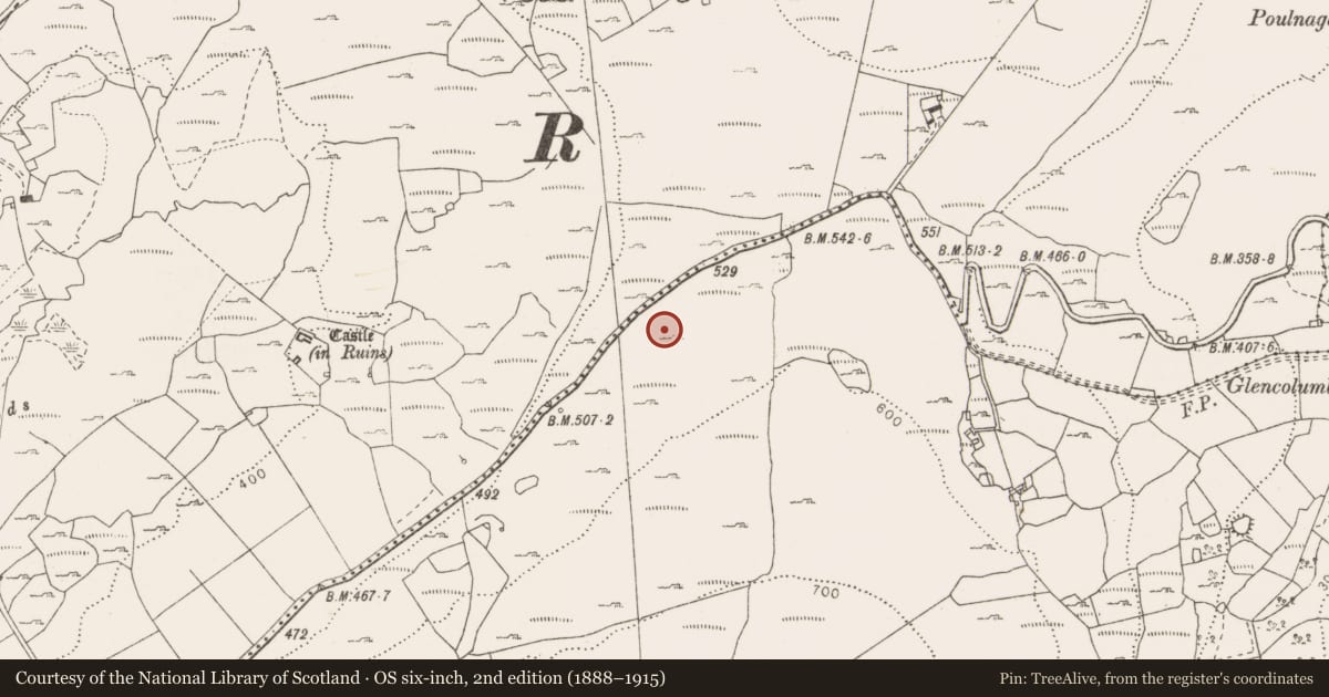 Ordnance Survey six-inch map, 2nd edition (1888–1915) covering the location of Cairn - unclassified, Fahee South, County Clare, with a pin at the register's coordinates