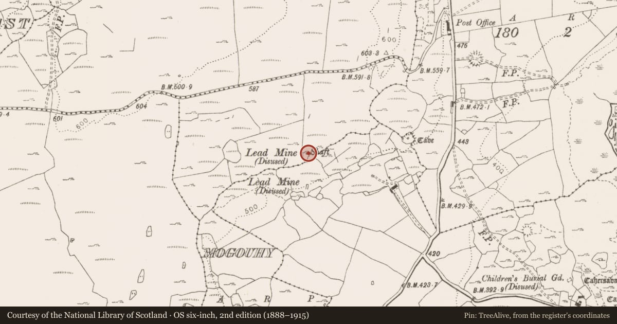 Ordnance Survey six-inch map, 2nd edition (1888–1915) covering the location of Fulacht fia, Mogouhy, County Clare, with a pin at the register's coordinates