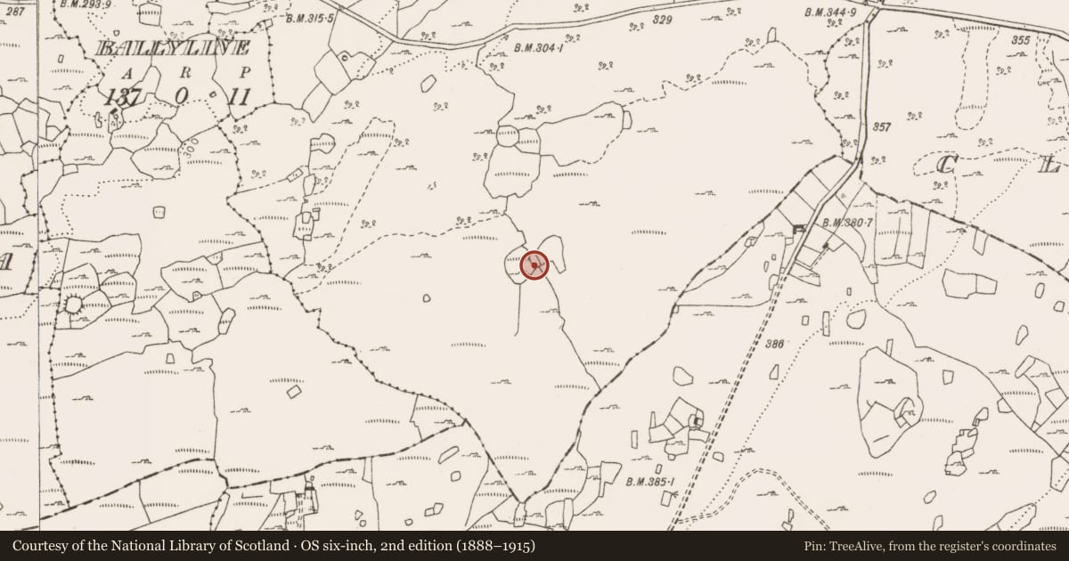 Ordnance Survey six-inch map, 2nd edition (1888–1915) covering the location of Ringfort - cashel, Creevagh, County Clare, with a pin at the register's coordinates