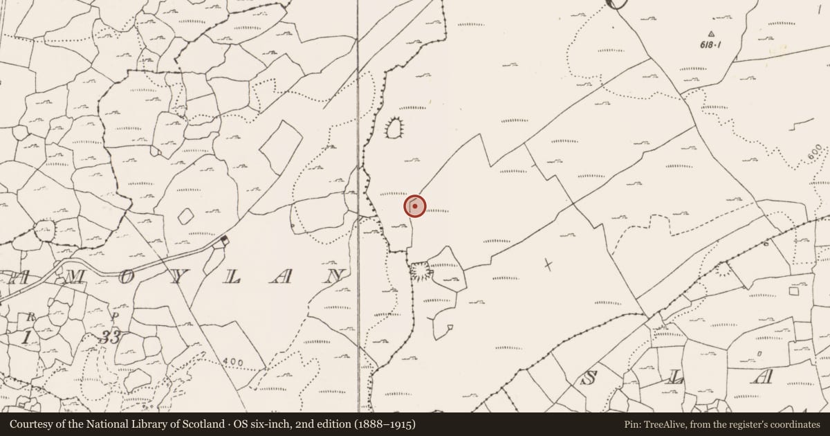 Ordnance Survey six-inch map, 2nd edition (1888–1915) covering the location of Ringfort - cashel, Rannagh West, County Clare, with a pin at the register's coordinates