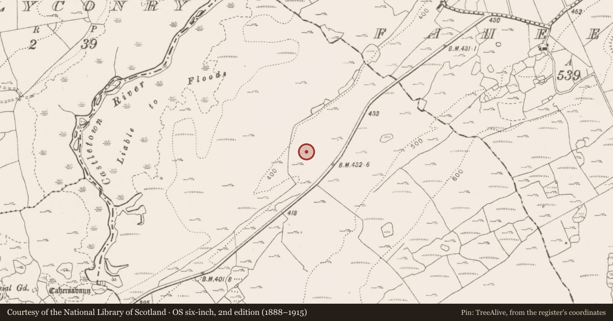 Ordnance Survey six-inch map, 2nd edition (1888–1915) covering the location of Enclosure, Tullycommon, County Clare, with a pin at the register's coordinates