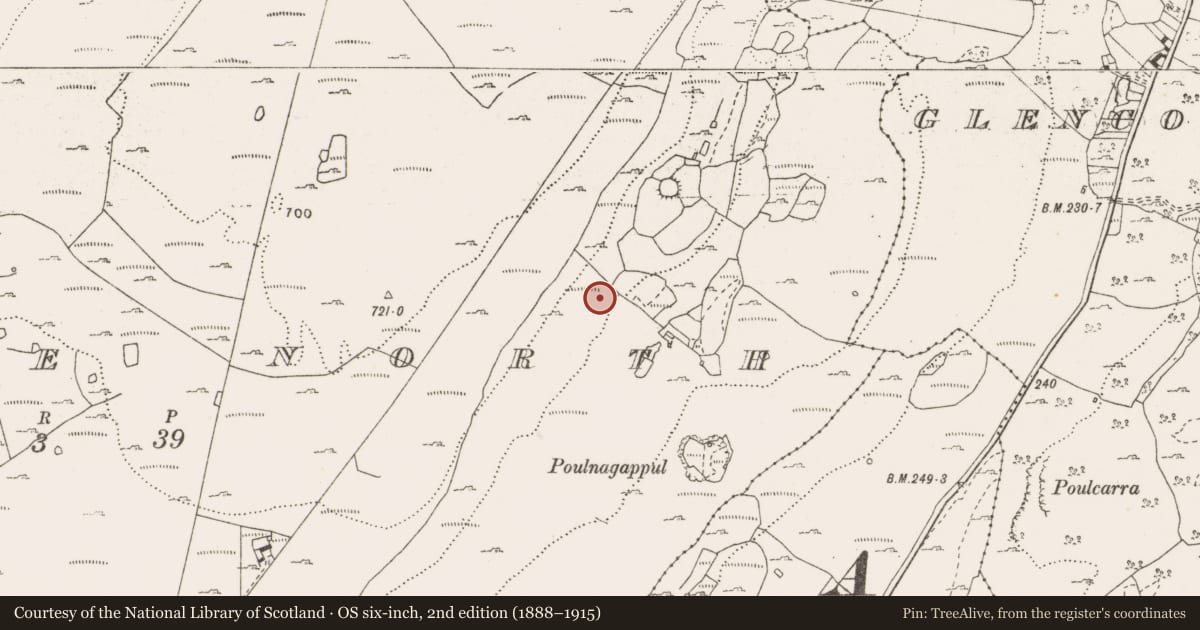 Ordnance Survey six-inch map, 2nd edition (1888–1915) covering the location of Enclosure, Fahee North, County Clare, with a pin at the register's coordinates