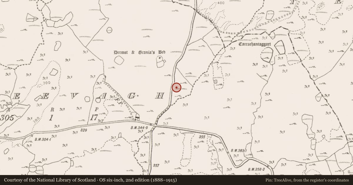 Ordnance Survey six-inch map, 2nd edition (1888–1915) covering the location of Cairn - unclassified, Creevagh, County Clare, with a pin at the register's coordinates