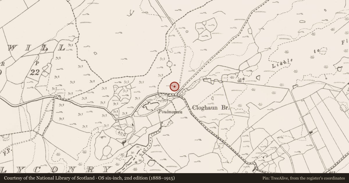 Ordnance Survey six-inch map, 2nd edition (1888–1915) covering the location of Quarry, Fahee North, County Clare, with a pin at the register's coordinates