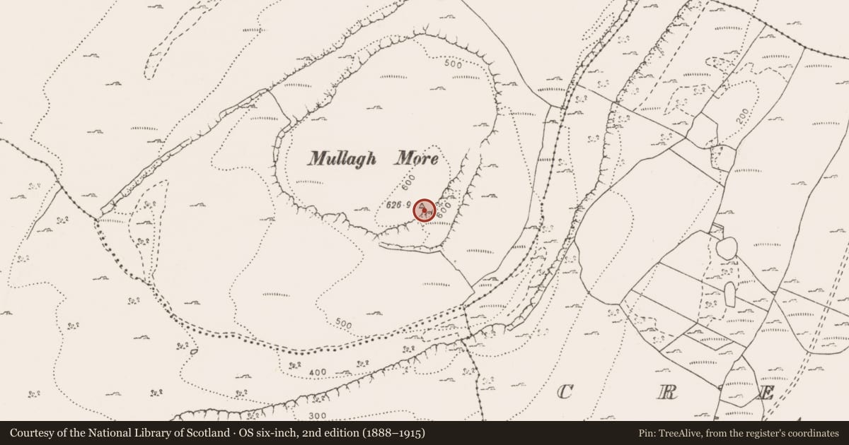 Ordnance Survey six-inch map, 2nd edition (1888–1915) covering the location of Cairn - unclassified, Glenquin, County Clare, with a pin at the register's coordinates