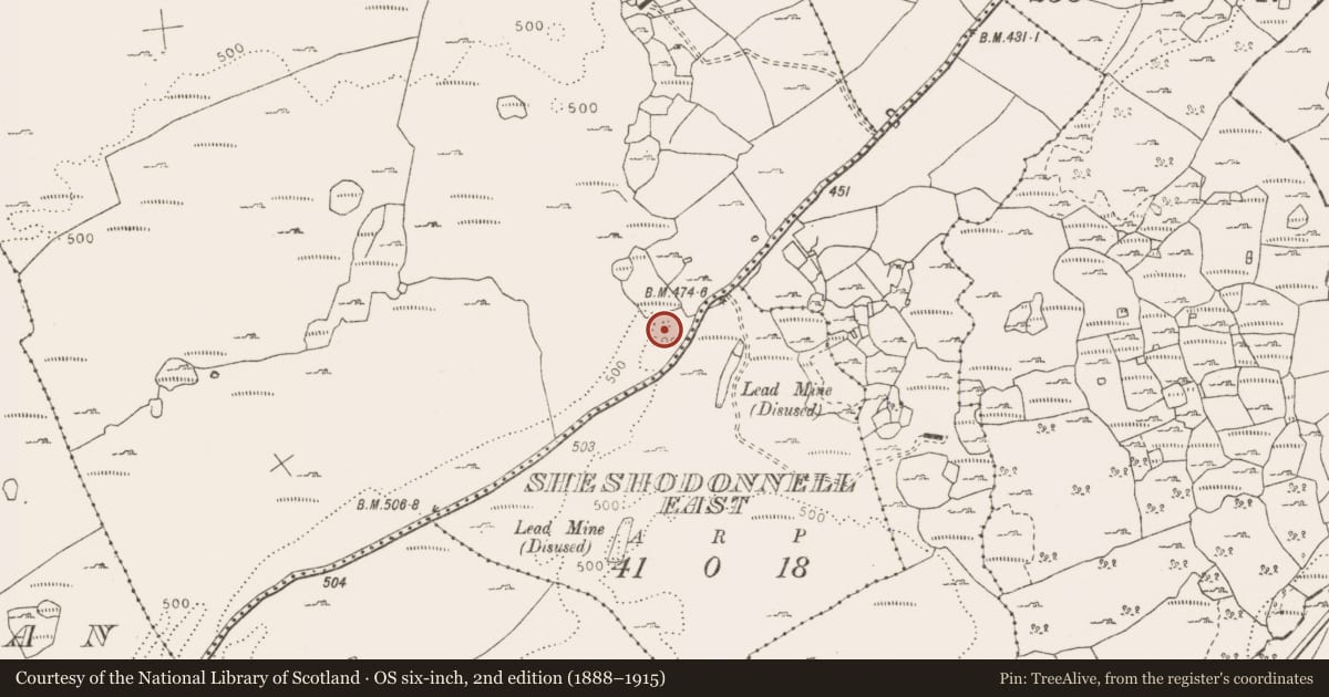 Ordnance Survey six-inch map, 2nd edition (1888–1915) covering the location of Enclosure, Commons, County Clare, with a pin at the register's coordinates