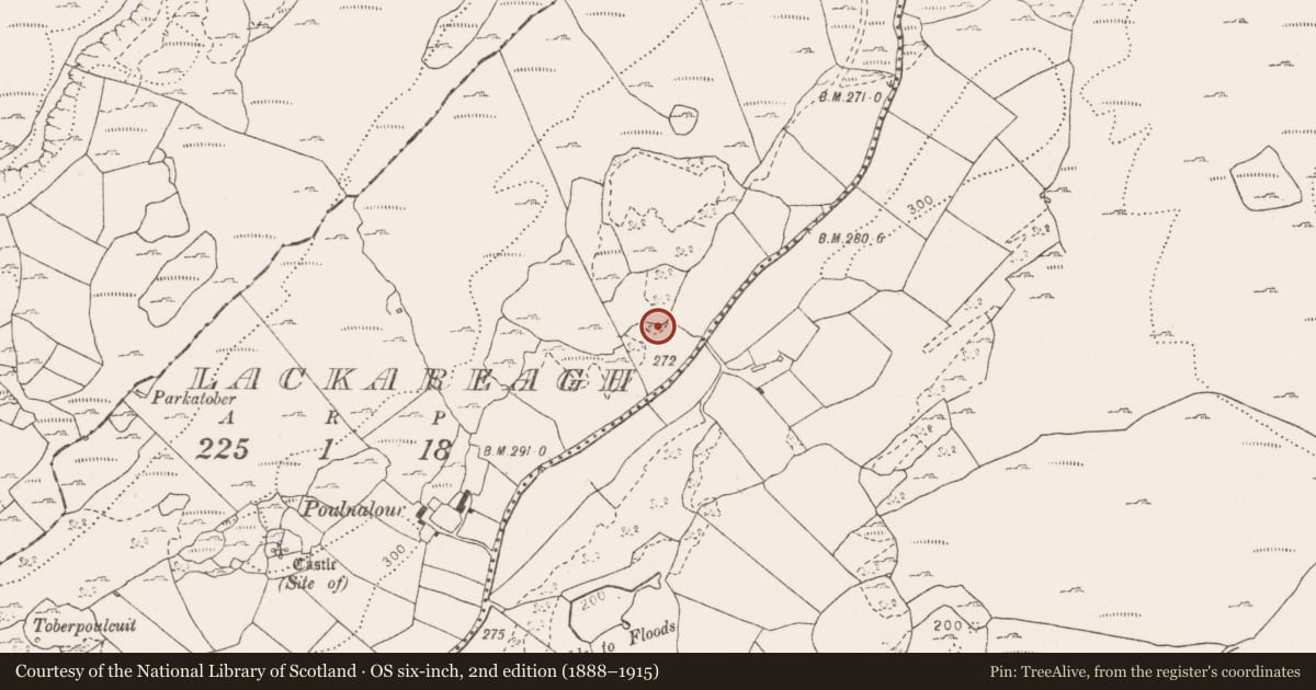 Ordnance Survey six-inch map, 2nd edition (1888–1915) covering the location of Enclosure, Lackareagh, County Clare, with a pin at the register's coordinates
