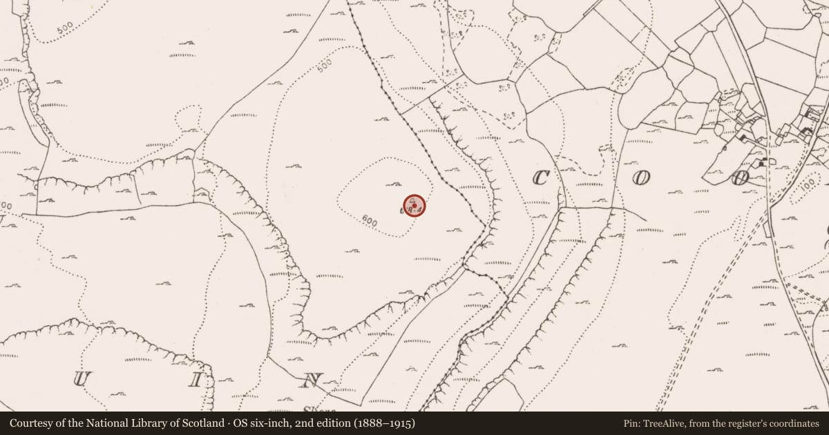 Ordnance Survey six-inch map, 2nd edition (1888–1915) covering the location of Cairn - unclassified, Glenquin, County Clare, with a pin at the register's coordinates