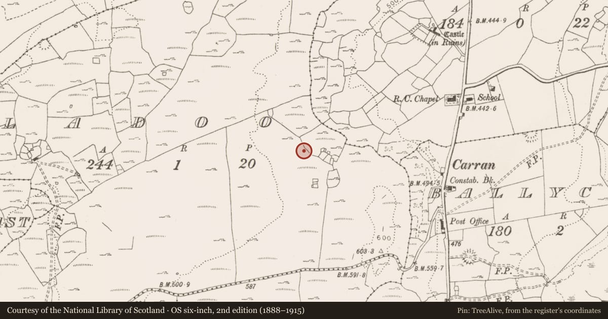 Ordnance Survey six-inch map, 2nd edition (1888–1915) covering the location of Hut site, Sladoo, County Clare, with a pin at the register's coordinates