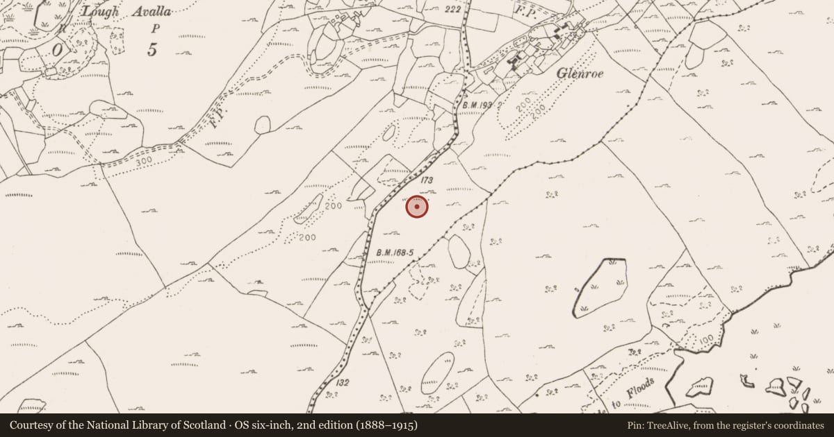 Ordnance Survey six-inch map, 2nd edition (1888–1915) covering the location of Cairn - unclassified, Glenquin, County Clare, with a pin at the register's coordinates