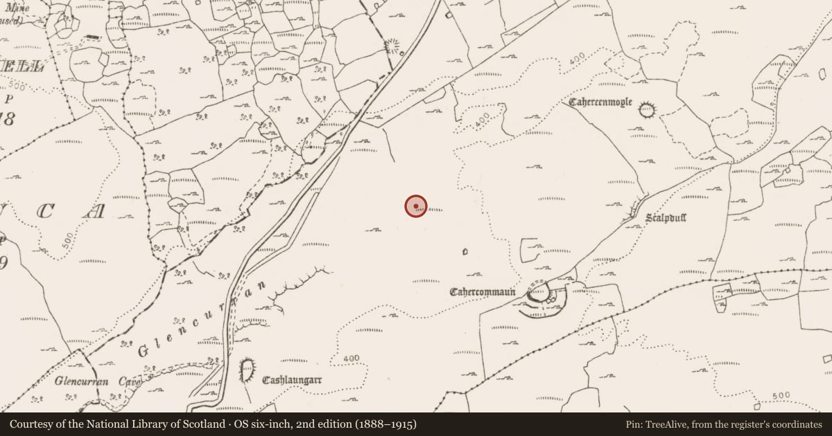 Ordnance Survey six-inch map, 2nd edition (1888–1915) covering the location of Cave, Tullycommon, County Clare, with a pin at the register's coordinates