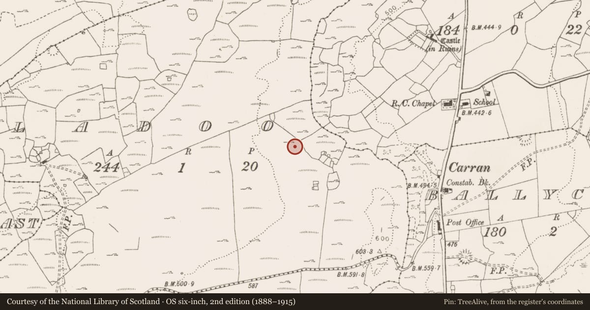 Ordnance Survey six-inch map, 2nd edition (1888–1915) covering the location of Enclosure, Sladoo, County Clare, with a pin at the register's coordinates