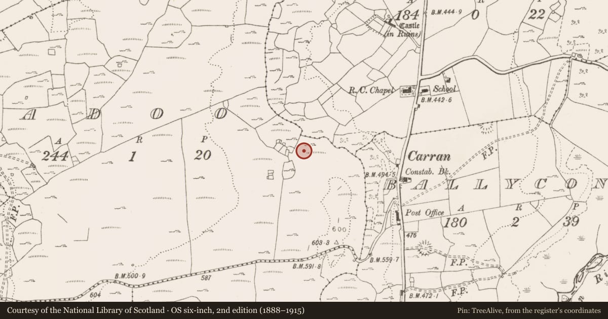 Ordnance Survey six-inch map, 2nd edition (1888–1915) covering the location of Field system, Sladoo, County Clare, with a pin at the register's coordinates