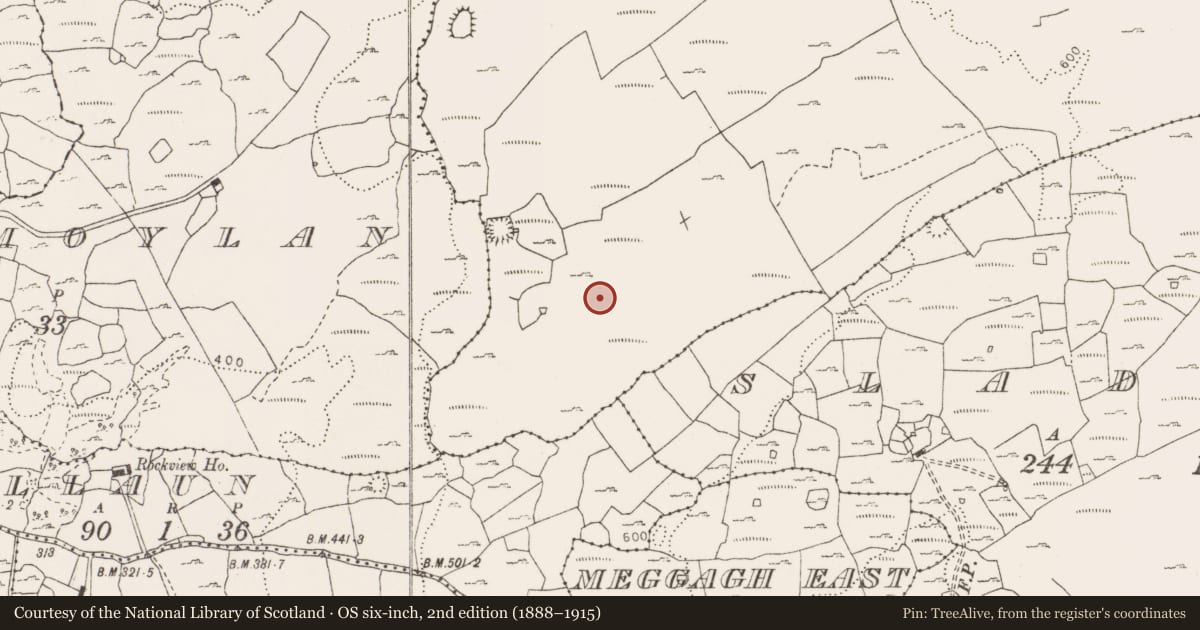 Ordnance Survey six-inch map, 2nd edition (1888–1915) covering the location of Enclosure, Rannagh West, County Clare, with a pin at the register's coordinates