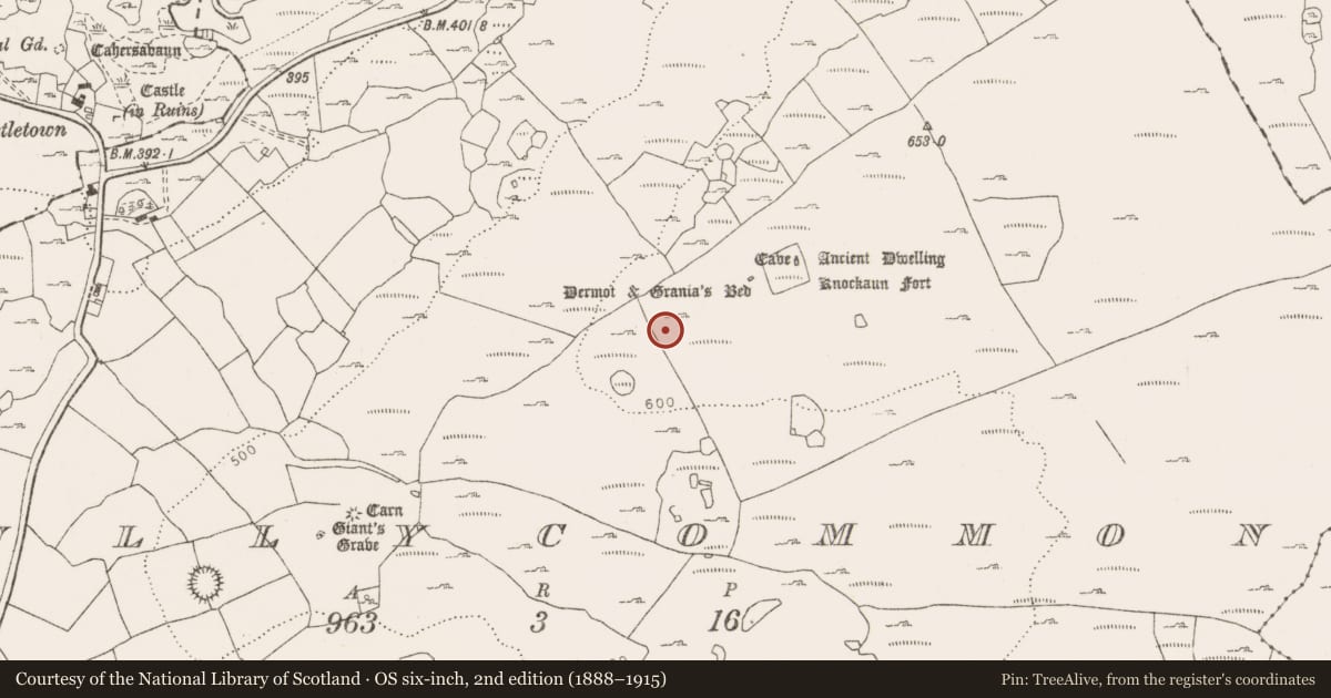 Ordnance Survey six-inch map, 2nd edition (1888–1915) covering the location of Hut site, Tullycommon, County Clare, with a pin at the register's coordinates