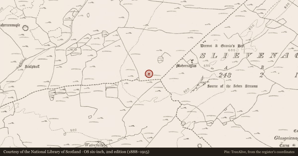 Ordnance Survey six-inch map, 2nd edition (1888–1915) covering the location of Hut site, Tullycommon, County Clare, with a pin at the register's coordinates