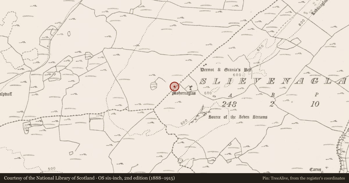 Ordnance Survey six-inch map, 2nd edition (1888–1915) covering the location of Hut site, Tullycommon, County Clare, with a pin at the register's coordinates