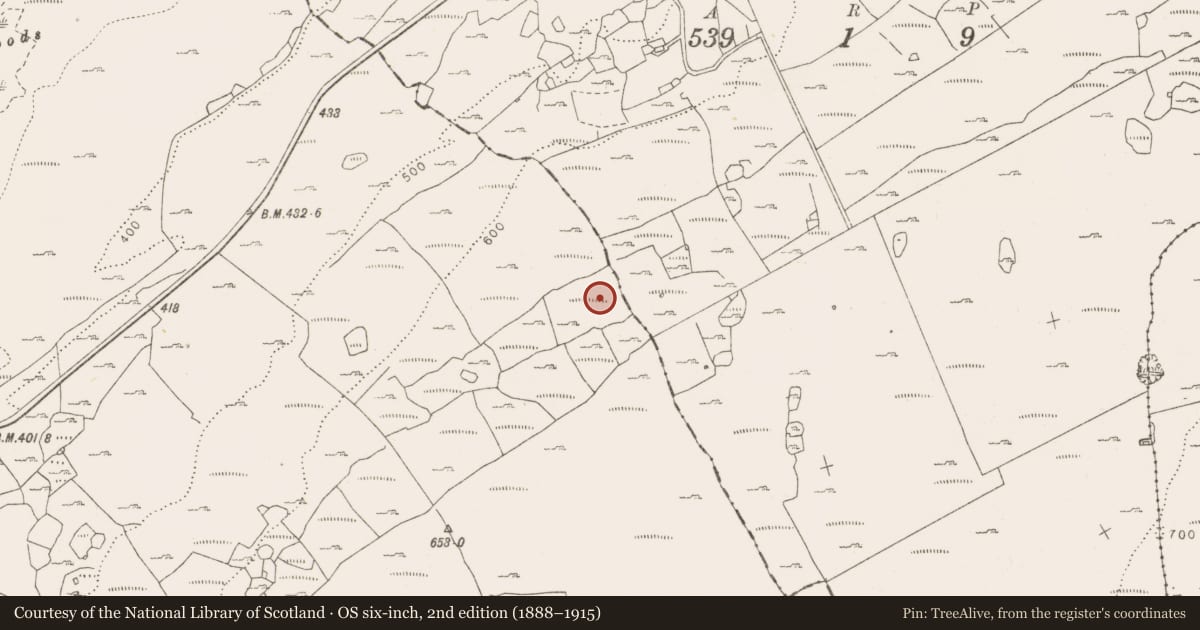 Ordnance Survey six-inch map, 2nd edition (1888–1915) covering the location of Enclosure, Tullycommon, County Clare, with a pin at the register's coordinates