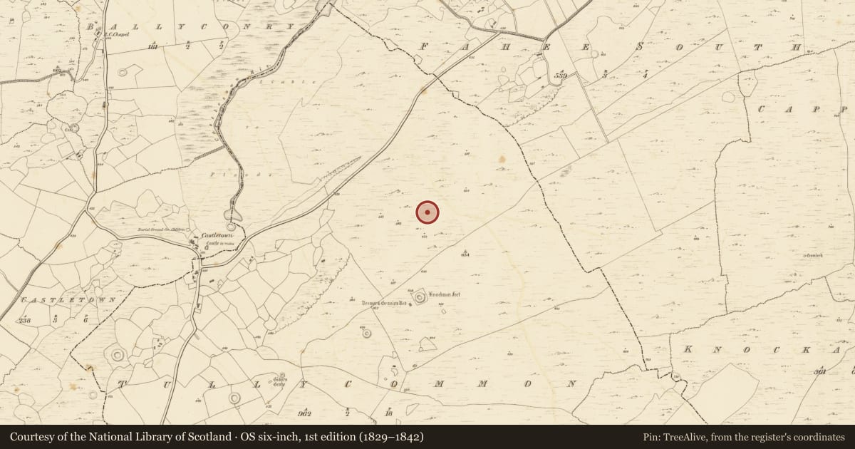 Ordnance Survey six-inch map, 1st edition (1829–1842) covering the location of Enclosure, Tullycommon, County Clare, with a pin at the register's coordinates