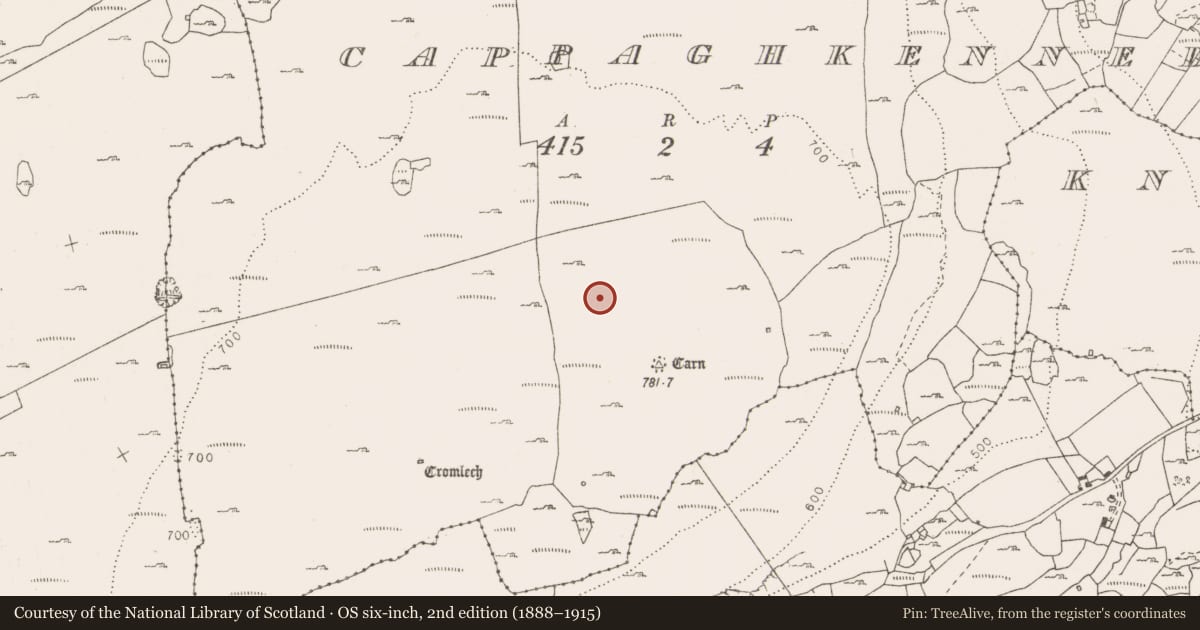 Ordnance Survey six-inch map, 2nd edition (1888–1915) covering the location of Hut site, Cappaghkennedy, County Clare, with a pin at the register's coordinates